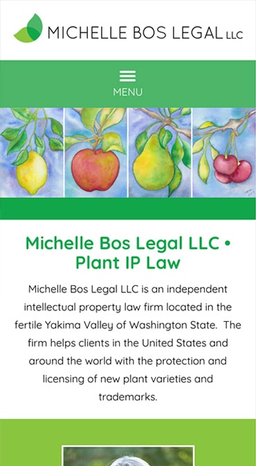 Responsive Mobile Attorney Website for Michelle Bos Legal LLC