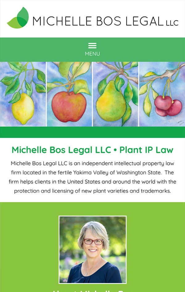 Mobile Friendly Law Firm Webiste for Michelle Bos Legal LLC